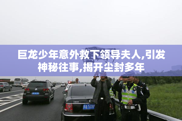 巨龙少年意外救下领导夫人,引发神秘往事,揭开尘封多年