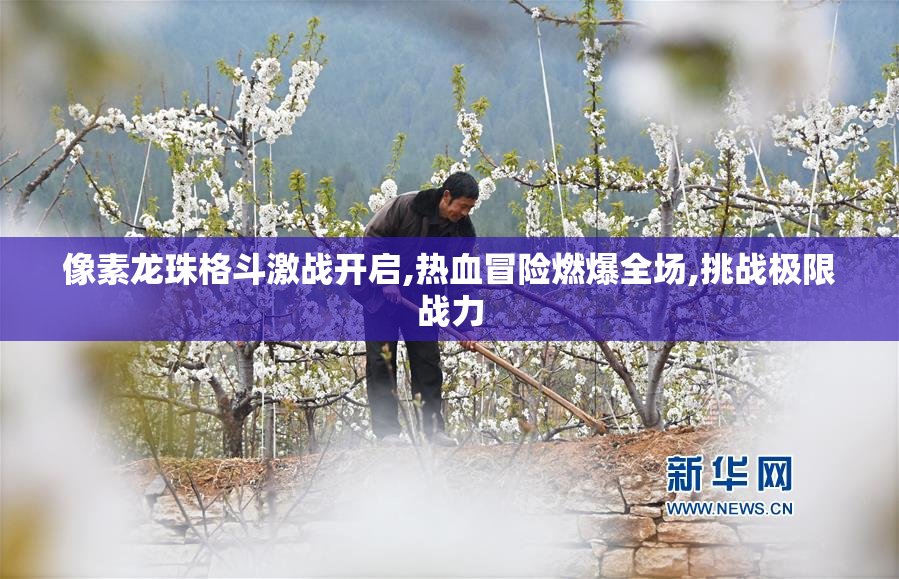 像素龙珠格斗激战开启,热血冒险燃爆全场,挑战极限战力