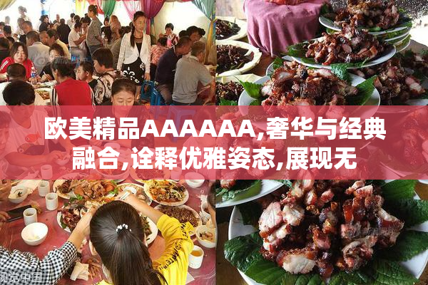 欧美精品AAAAAA,奢华与经典融合,诠释优雅姿态,展现无
