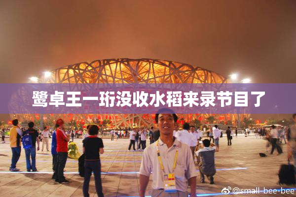 鹭卓王一珩没收水稻来录节目了