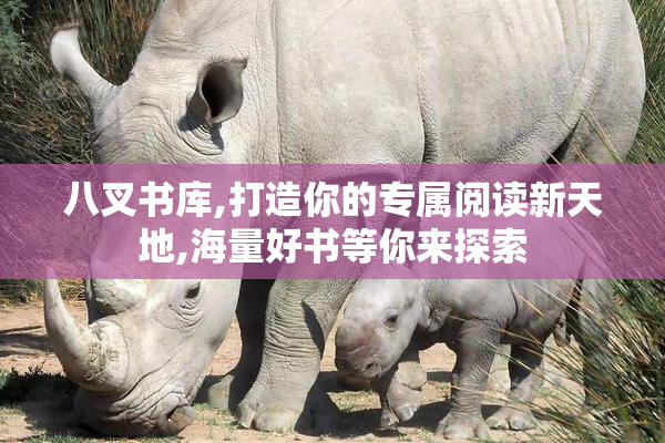 八叉书库,打造你的专属阅读新天地,海量好书等你来探索