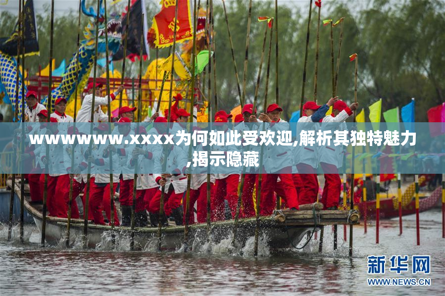 wwwwww.xxxx为何如此受欢迎,解析其独特魅力,揭示隐藏