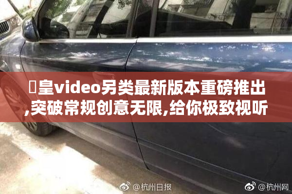 嘼皇video另类最新版本重磅推出,突破常规创意无限,给你极致视听