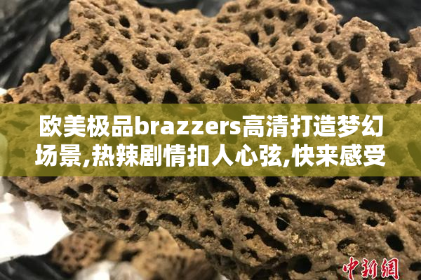 欧美极品brazzers高清打造梦幻场景,热辣剧情扣人心弦,快来感受