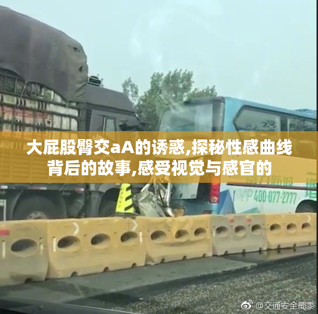 大屁股臀交aA的诱惑,探秘性感曲线背后的故事,感受视觉与感官的