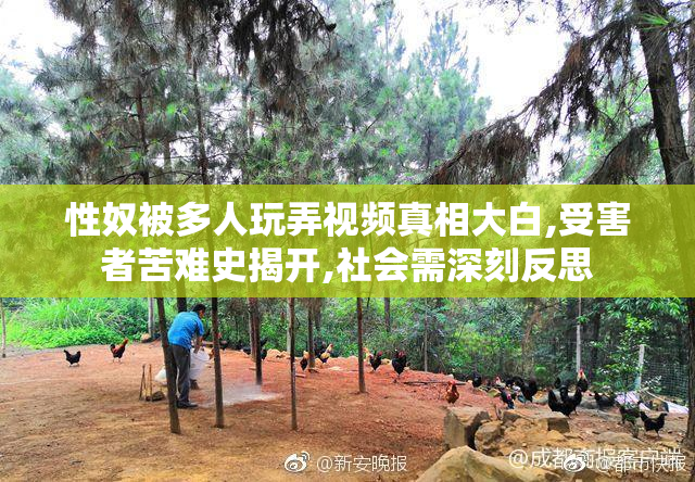 性奴被多人玩弄视频真相大白,受害者苦难史揭开,社会需深刻反思