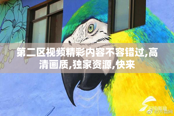 第二区视频精彩内容不容错过,高清画质,独家资源,快来