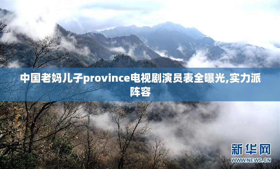 中国老妈儿子province电视剧演员表全曝光,实力派阵容