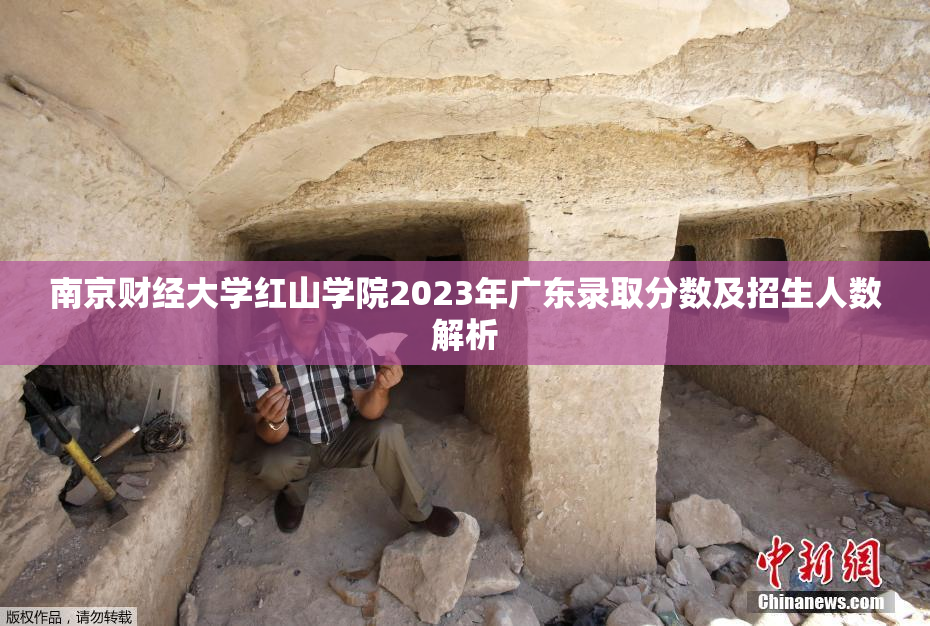 南京财经大学红山学院2023年广东录取分数及招生人数解析