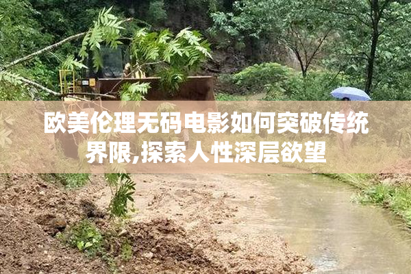 欧美伦理无码电影如何突破传统界限,探索人性深层欲望