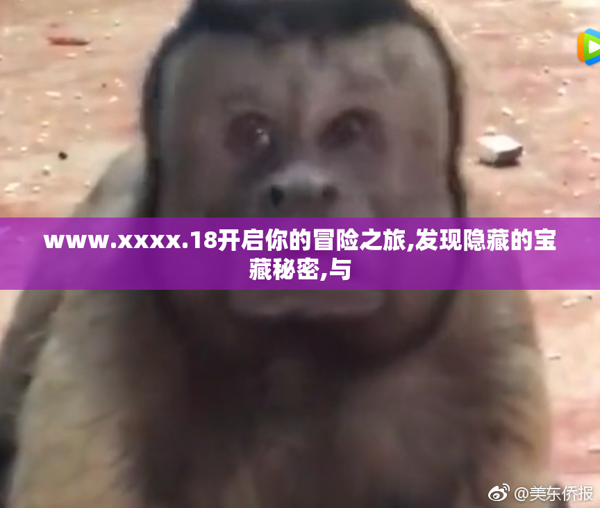 www.xxxx.18开启你的冒险之旅,发现隐藏的宝藏秘密,与