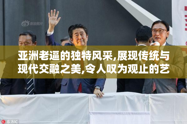 亚洲老逼的独特风采,展现传统与现代交融之美,令人叹为观止的艺术