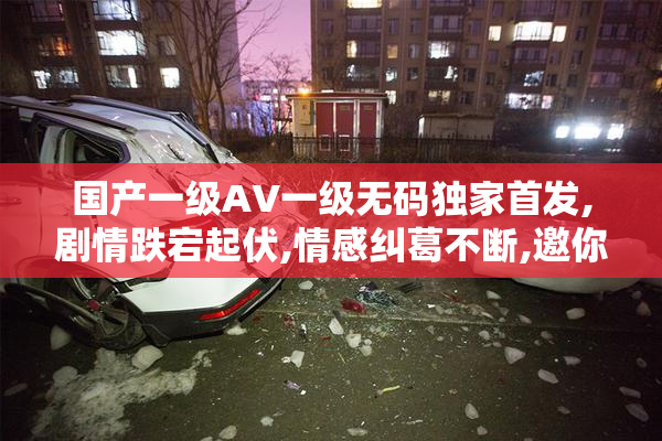 国产一级AV一级无码独家首发,剧情跌宕起伏,情感纠葛不断,邀你共同