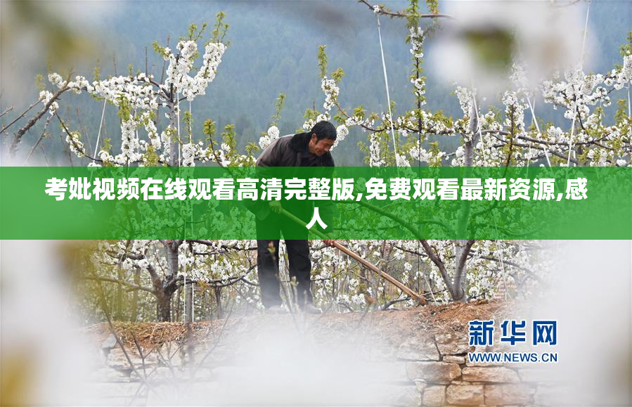 考妣视频在线观看高清完整版,免费观看最新资源,感人