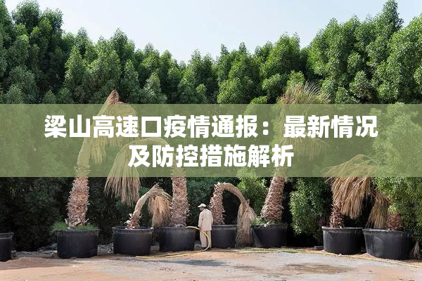 梁山高速口疫情通报：最新情况及防控措施解析