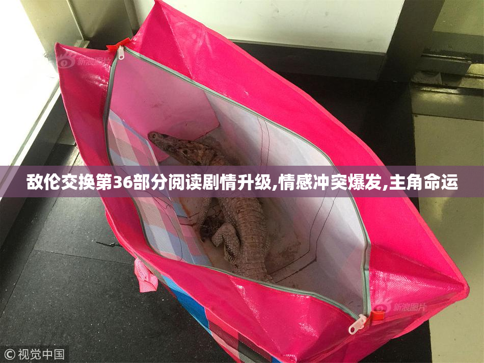 敌伦交换第36部分阅读剧情升级,情感冲突爆发,主角命运