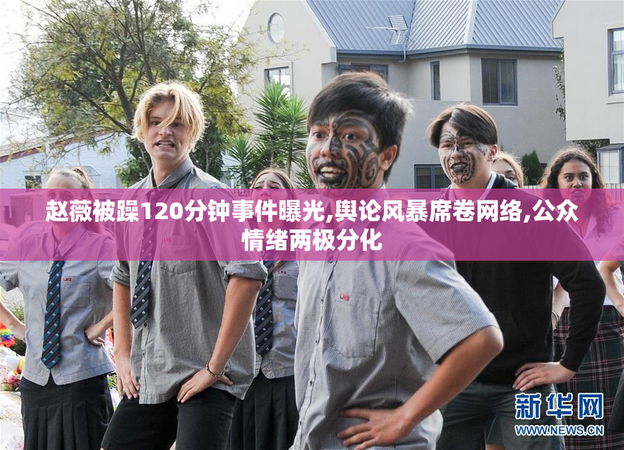 赵薇被躁120分钟事件曝光,舆论风暴席卷网络,公众情绪两极分化