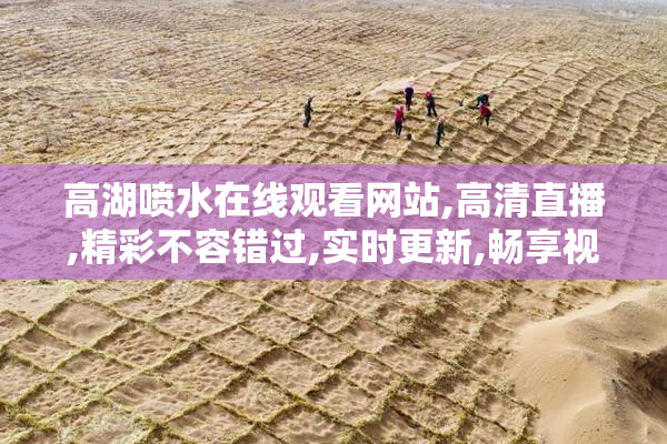 高湖喷水在线观看网站,高清直播,精彩不容错过,实时更新,畅享视觉