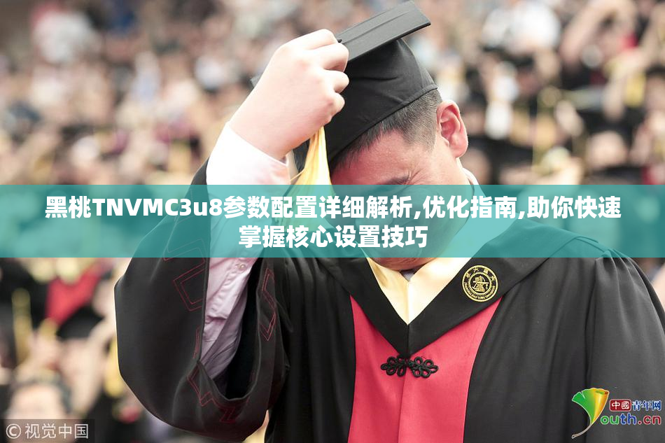 黑桃TNVMC3u8参数配置详细解析,优化指南,助你快速掌握核心设置技巧