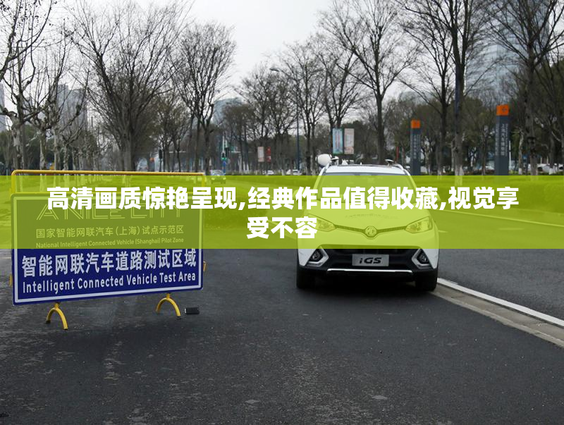 高清画质惊艳呈现,经典作品值得收藏,视觉享受不容
