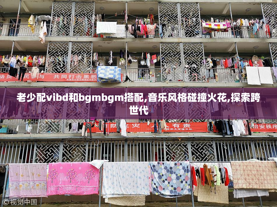 老少配vibd和bgmbgm搭配,音乐风格碰撞火花,探索跨世代