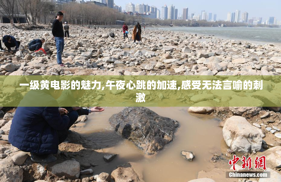 一级黄电影的魅力,午夜心跳的加速,感受无法言喻的刺激