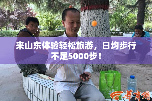 来山东体验轻松旅游，日均步行不足5000步！