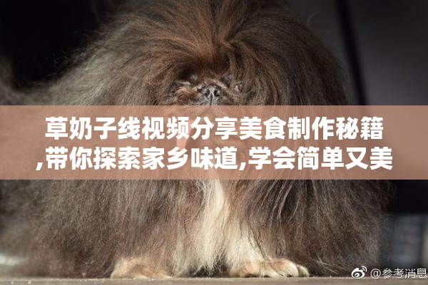 草奶子线视频分享美食制作秘籍,带你探索家乡味道,学会简单又美味
