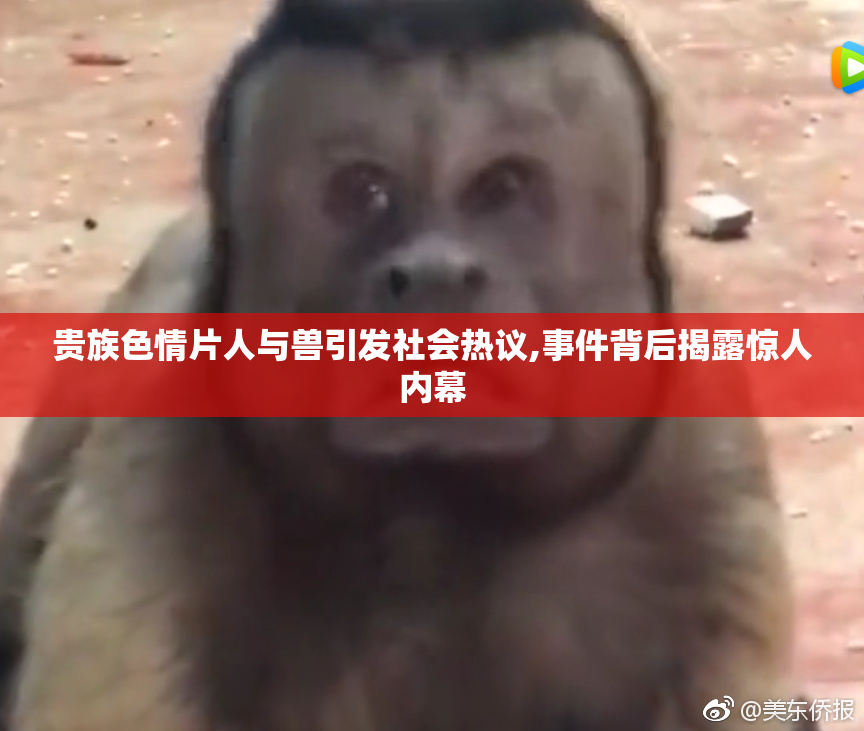 贵族色情片人与兽引发社会热议,事件背后揭露惊人内幕