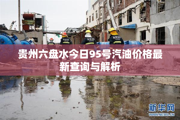 贵州六盘水今日95号汽油价格最新查询与解析