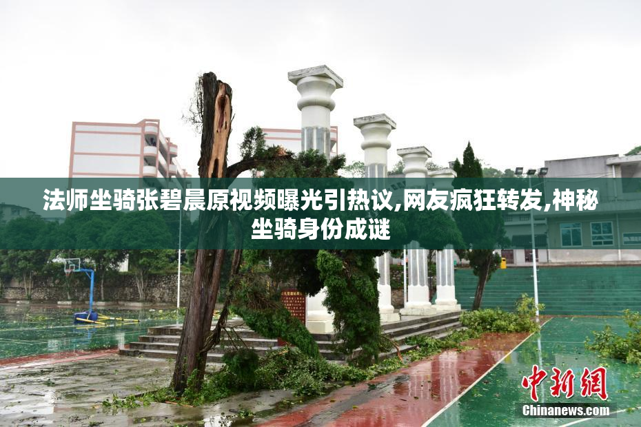 法师坐骑张碧晨原视频曝光引热议,网友疯狂转发,神秘坐骑身份成谜
