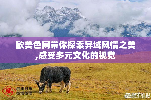 欧美色网带你探索异域风情之美,感受多元文化的视觉