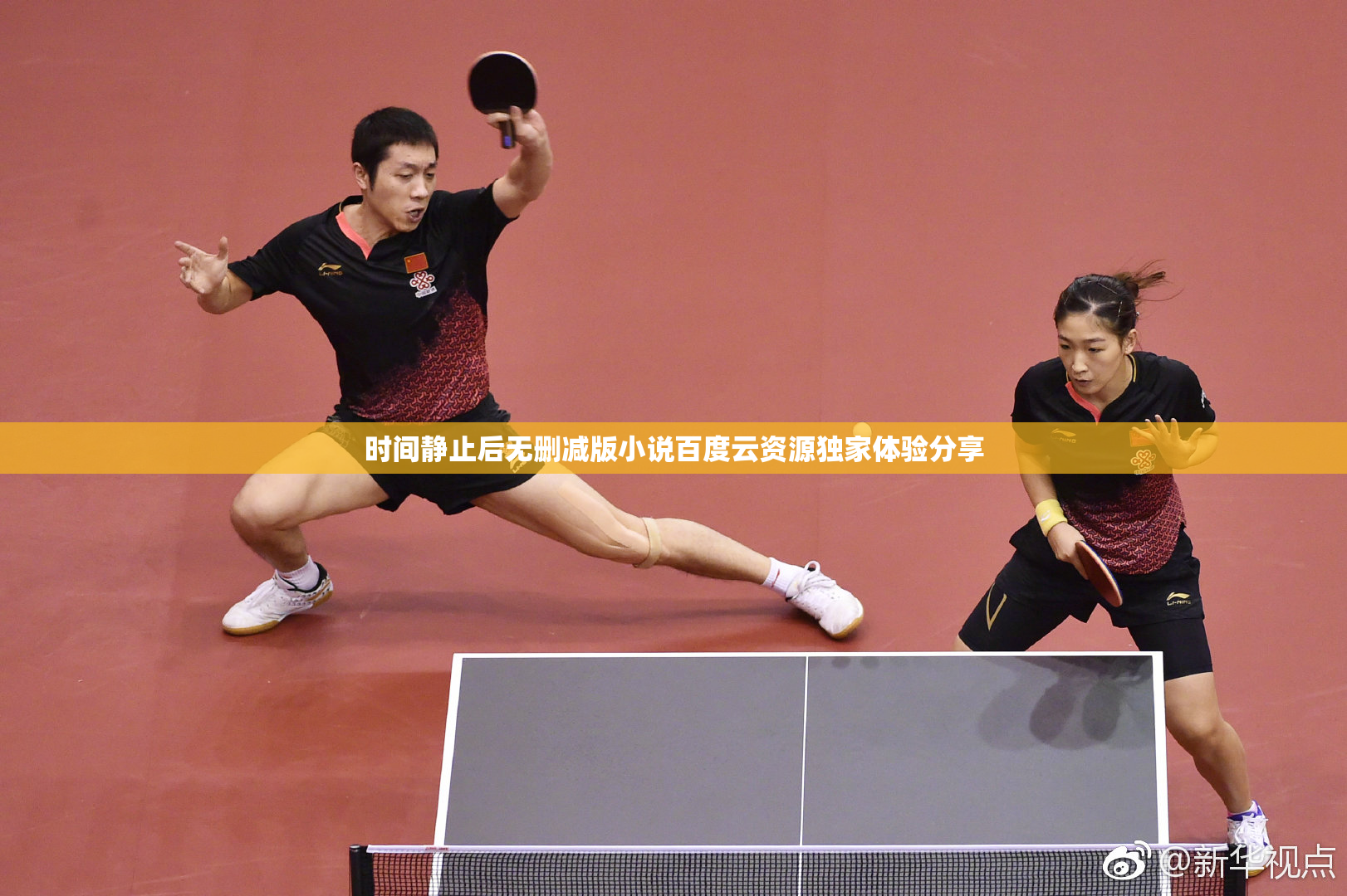 时间静止后无删减版小说百度云资源独家体验分享