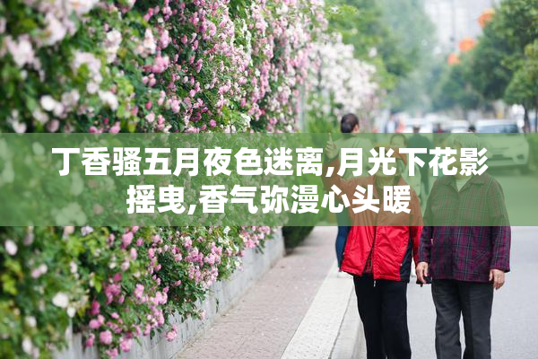 丁香骚五月夜色迷离,月光下花影摇曳,香气弥漫心头暖