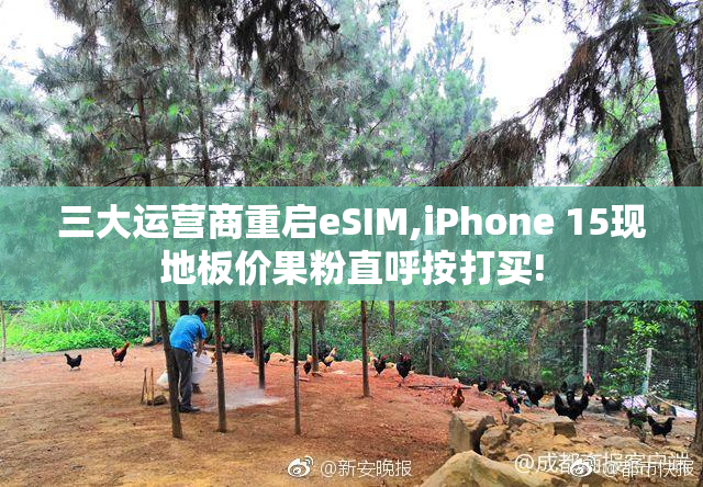 三大运营商重启eSIM,iPhone 15现地板价果粉直呼按打买!