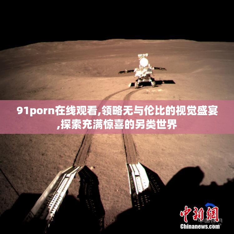 91porn在线观看,领略无与伦比的视觉盛宴,探索充满惊喜的另类世界