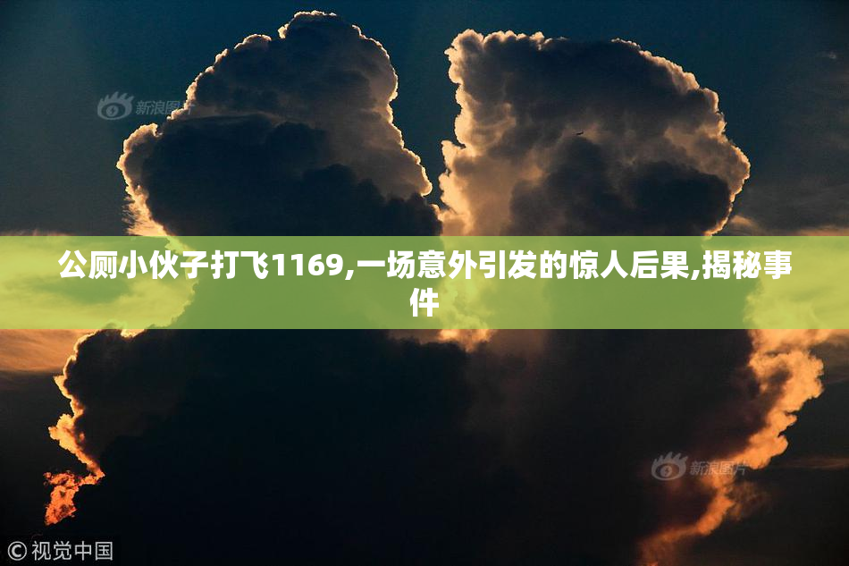 公厕小伙子打飞1169,一场意外引发的惊人后果,揭秘事件