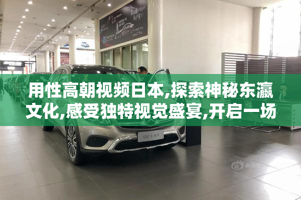 用性高朝视频日本,探索神秘东瀛文化,感受独特视觉盛宴,开启一场