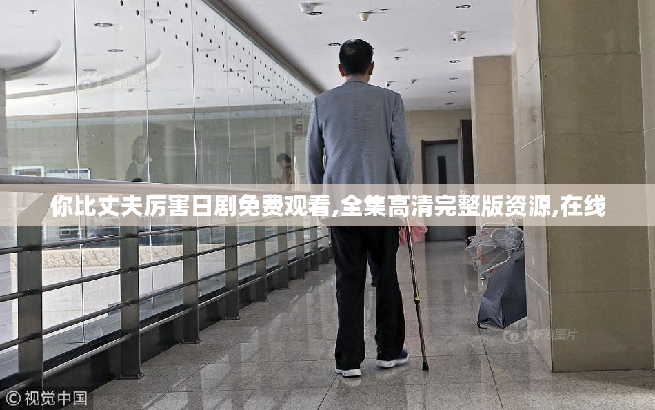 你比丈夫厉害日剧免费观看,全集高清完整版资源,在线