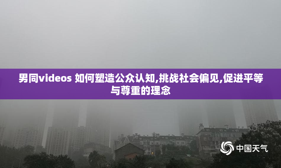 男同videos 如何塑造公众认知,挑战社会偏见,促进平等与尊重的理念