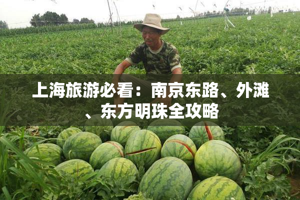 上海旅游必看：南京东路、外滩、东方明珠全攻略