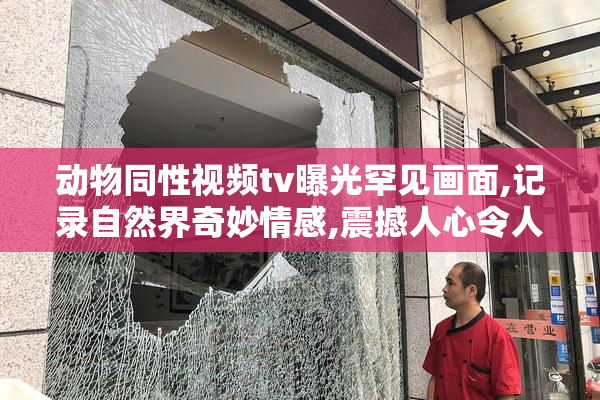 动物同性视频tv曝光罕见画面,记录自然界奇妙情感,震撼人心令人