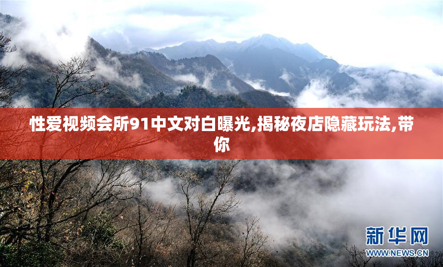 性爱视频会所91中文对白曝光,揭秘夜店隐藏玩法,带你