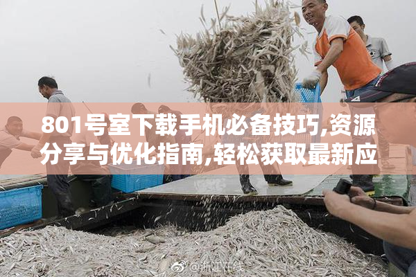 801号室下载手机必备技巧,资源分享与优化指南,轻松获取最新应用
