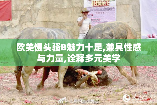 欧美馒头骚B魅力十足,兼具性感与力量,诠释多元美学