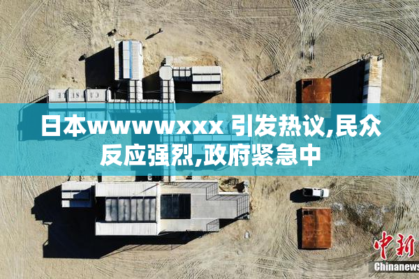 日本wwwwxxx 引发热议,民众反应强烈,政府紧急中