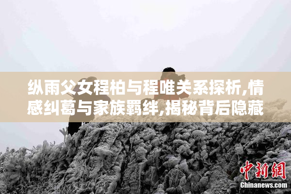 纵雨父女程柏与程唯关系探析,情感纠葛与家族羁绊,揭秘背后隐藏的