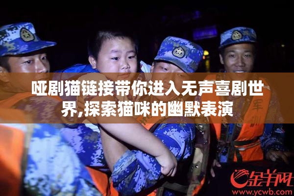 哑剧猫链接带你进入无声喜剧世界,探索猫咪的幽默表演