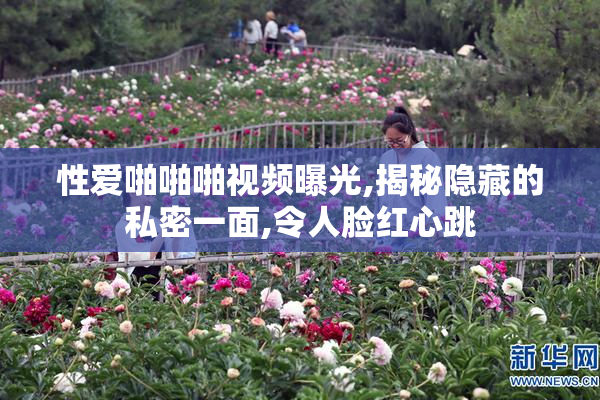 性爱啪啪啪视频曝光,揭秘隐藏的私密一面,令人脸红心跳