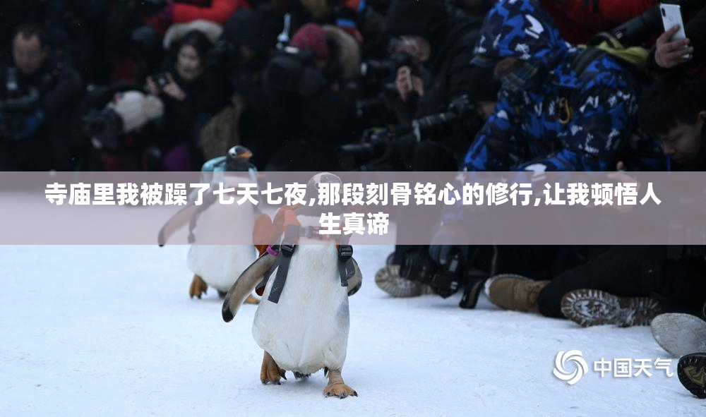 寺庙里我被躁了七天七夜,那段刻骨铭心的修行,让我顿悟人生真谛